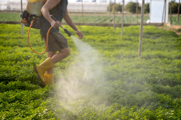 Best Pest Inspection Near Me  in Enterprise, NV